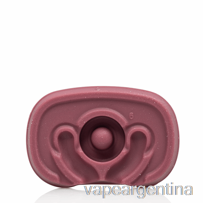 Boquilla Plana Pax Saúco Vape Descartable